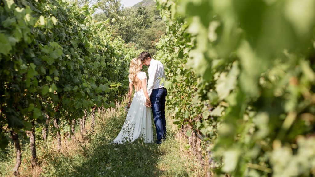 Tips on How To Have a Forest Wedding party